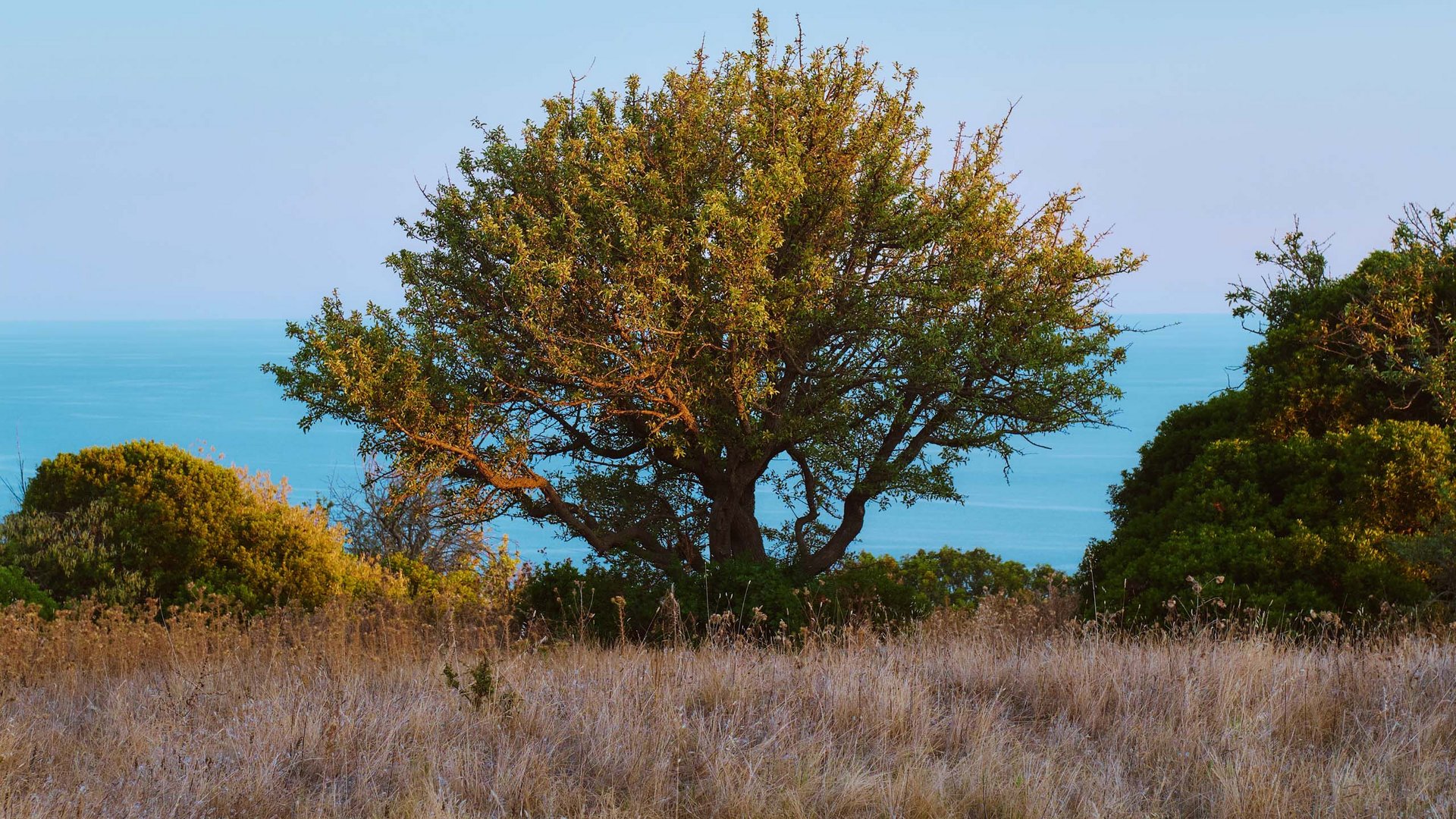 Wir sind online! Wir sind online!